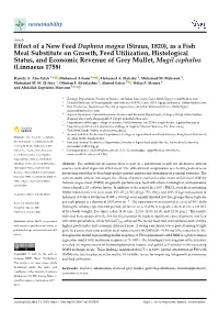Effect of a New Feed Daphnia Magna