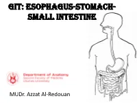 GIT: Esophagus-Stomach- Small Intestine