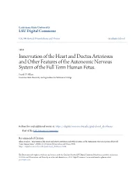 Innervation of the Heart and Ductus Arteriosus and Other Features of the Autonomic Nervous System of the Full Term Human Fetus