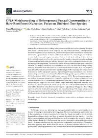 DNA-Metabarcoding of Belowground Fungal Communities in Bare-Root Forest Nurseries: Focus on Different Tree Species