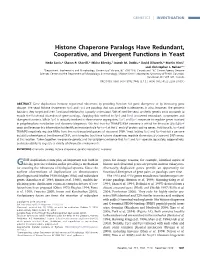 Histone Chaperone Paralogs Have Redundant, Cooperative, and Divergent Functions in Yeast