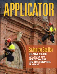 Saving the Basilica
