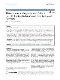 The Structure and Regulation of Cullin 2 Based E3 Ubiquitin Ligases and Their Biological Functions Weijia Cai* and Haifeng Yang*