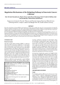 Diagnostics of Halitosis Complaints by a Multidisciplinary Team