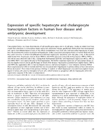 Expression of Specific Hepatocyte and Cholangiocyte Transcription Factors