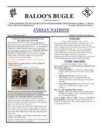 Voluntary Recall of the Cub Scout Immediate Recognition Kit, Item