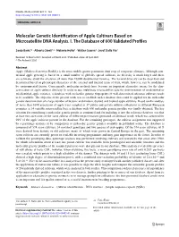 Molecular Genetic Identification of Apple Cultivars Based On
