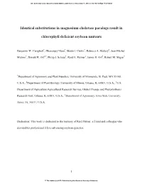 Identical Substitutions in Magnesium Chelatase Paralogs Result In