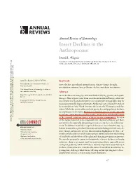 Insect Declines in the Anthropocene