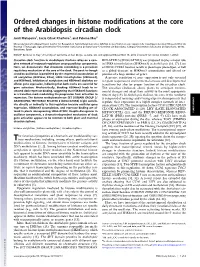 Ordered Changes in Histone Modifications at the Core of The