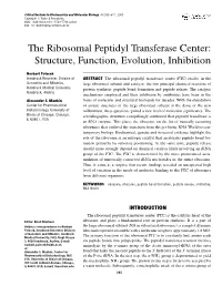 The Ribosomal Peptidyl Transferase Center: Structure, Function, Evolution, Inhibition