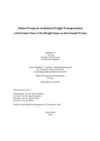 Future Prospects on Railway Freight Transportation a Particular View of the Weight Issue on Intermodal Trains