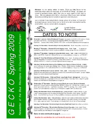Gecko Draft (2) Spring 2009.Pub