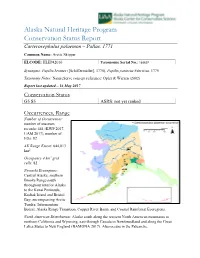 Alaska Natural Heritage Program Conservation Status Report Carterocephalus Palaemon – Pallas, 1771 Common Name: Arctic Skipper