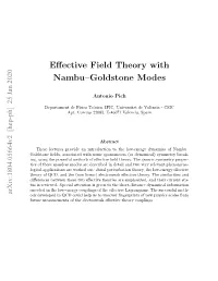 Effective Field Theory with Nambu–Goldstone Modes