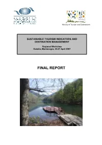 Final Report