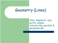 Geometry (Lines) SOL 4.14?