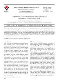Localization of Lactobacillus Plantarum in Bacterial Profile of Conjunctiva of Clinically Healthy Cattle
