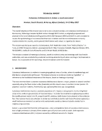 Jordan: a Need Assessment