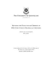 Revising the Evolutionary Imprint of Rna Structure in Mammalian Genomes