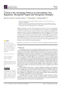 Control of the Autophagy Pathway in Osteoarthritis: Key Regulators, Therapeutic Targets and Therapeutic Strategies