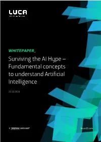 Surviving the AI Hype – Fundamental Concepts to Understand Artificial Intelligence