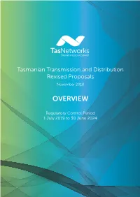 Transmission and Distribution Regulatory Proposal Overview
