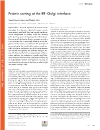 Protein Sorting at the ER–Golgi Interface