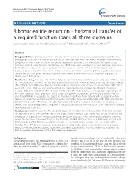 Ribonucleotide Reduction