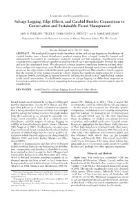 Salvage Logging, Edge Effects, and Carabid Beetles: Connections to Conservation and Sustainable Forest Management