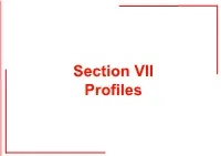 AI-In-UK-Section-VII-Profiles.Pdf