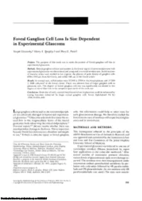 Foveal Ganglion Cell Loss Is Size Dependent in Experimental Glaucoma