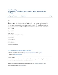 Response of Macroarthropod Assemblages to the Loss of Hemlock (Tsuga Canadensis), a Foundation Species Tara E