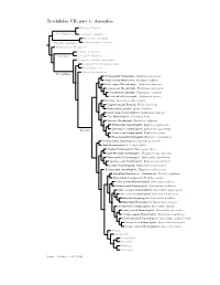 Amazilias.Pdf