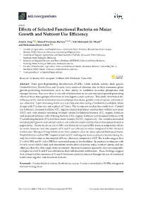 Effects of Selected Functional Bacteria on Maize Growth and Nutrient Use Efficiency
