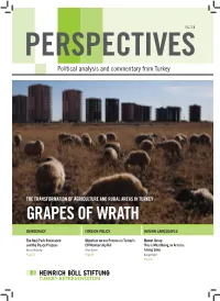 Grapes of Wrath