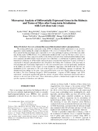 Microarray Analysis of Differentially Expressed Genes in the Kidneys and Testes of Mice After Long-Term Irradiation with Low-Dose-Rate Γ-Rays