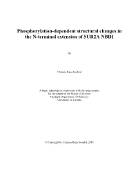 Phosphorylation-Dependent Structural Changes in the N-Terminal Extension of SUR2A NBD1