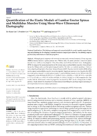 Quantification of the Elastic Moduli of Lumbar Erector Spinae And