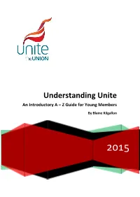 Understanding Unite an Introductory a – Z Guide for Young Members