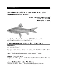 Henicorhynchus Lobatus Ecological Risk Screening Summary