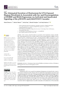 The Attenuated Secretion of Hyaluronan by UVA