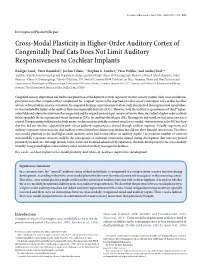 Cross-Modal Plasticity in Higher-Order Auditory Cortex of Congenitally Deaf Cats Does Not Limit Auditory Responsiveness to Cochlear Implants