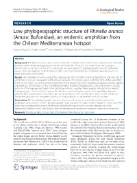 Low Phylogeographic Structure of Rhinella Arunco (Anura: Bufonidae)