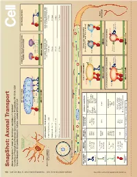 Snapshot: Axonal Transport Alison Twelvetrees,1,2 Adam G