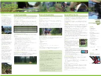 Castle Summer Map Side 2017