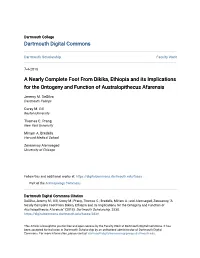 A Nearly Complete Foot from Dikika, Ethiopia and Its Implications for the Ontogeny and Function of Australopithecus Afarensis