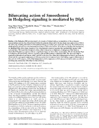 Bifurcating Action of Smoothened in Hedgehog Signaling Is Mediated by Dlg5