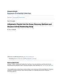 Discovery, Synthesis and Structure-Activity Relationship Study