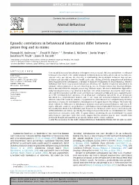 Episodic Correlations in Behavioural Lateralization Differ Between a Poison Frog and Its Mimic